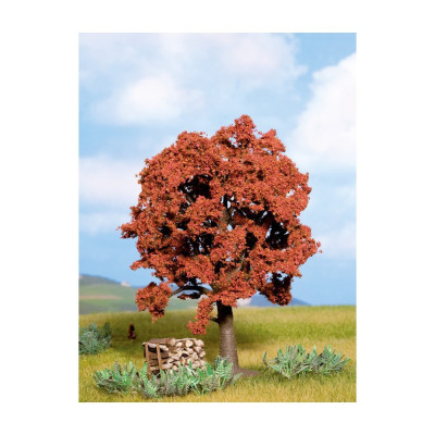 Buk červený - 14 cm 21730