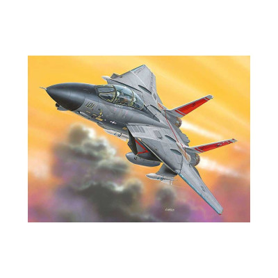 EasyKit letadlo 06623 - F-14 Tomcat (1:100)