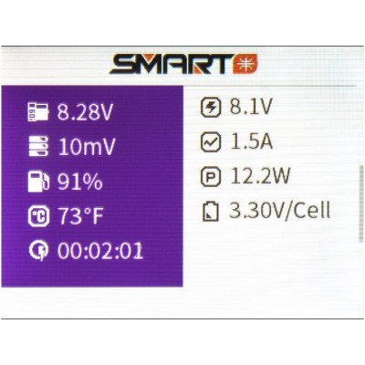 Spektrum Smart Tester XBC100