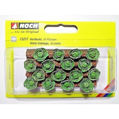 Biela kapusta, 3 x 6 cm, 16 rastlín