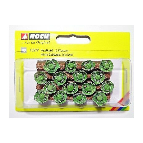 Biela kapusta, 3 x 6 cm, 16 rastlín