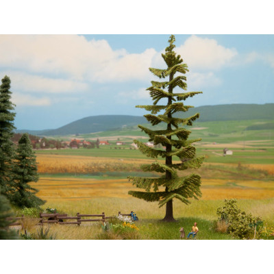 Zvuková scénka - Výrub stromov