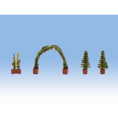 Ružový oblúk  NO14022