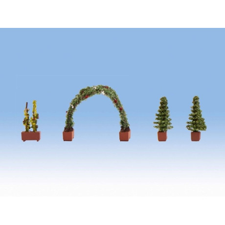 Ružový oblúk  NO14022