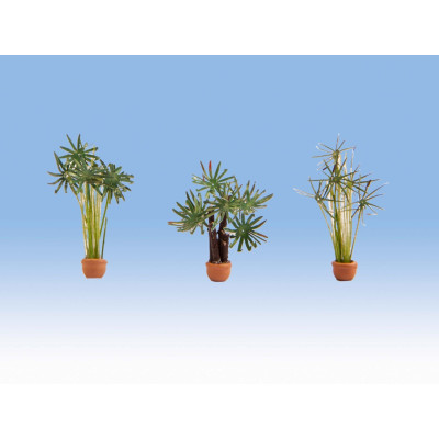 Palmy v kvetináčoch 3ks