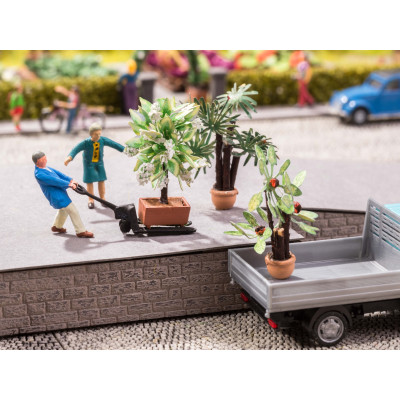 Palmy v kvetináčoch 3ks