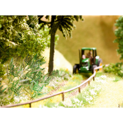 Papraď 9ks  NO14100