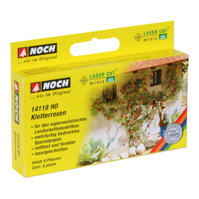 Popínavé ruže, 6ks  NO14118