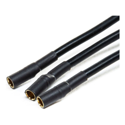 Spektrum Smart regulátor Avian 60A BL 3S-6S