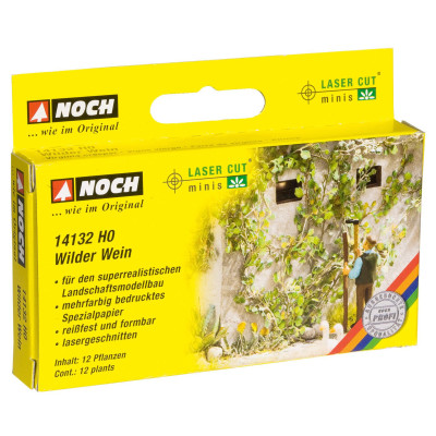 Ťahavý vinič, 12ks  NO14132