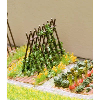 Fazuľa s oporou, 4ks  NO14200