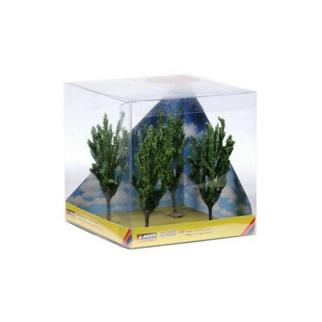 Topole, 4 ks,  12 cm  NO21006