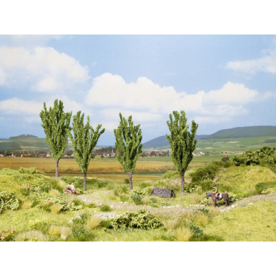 Topole, 4 ks,  12 cm  NO21006