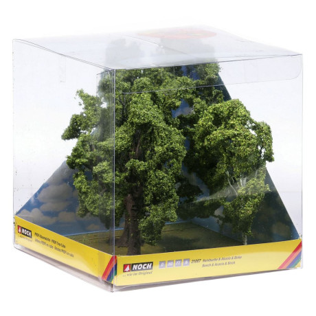 Hrab,breza a agát 13 cm, 15 cm a 11,5 cm  NO21007