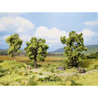 Hrab,breza a agát 13 cm, 15 cm a 11,5 cm  NO21007