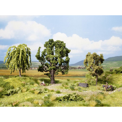 Dub ,vŕba a jarabina  NO21008