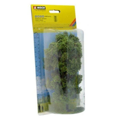 Gaštan, 19 cm  NO21800