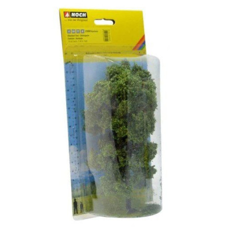 Gaštan, 19 cm  NO21800