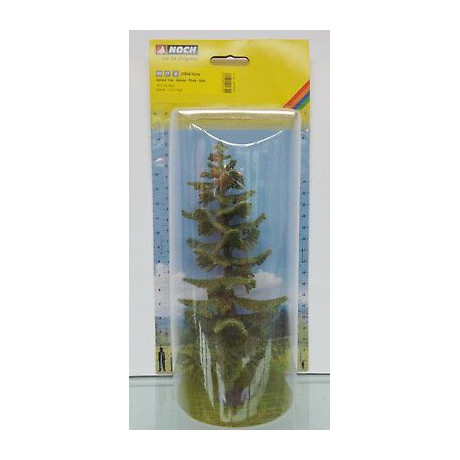 Nordmannská jedľa, 18,5 cm  NO21824