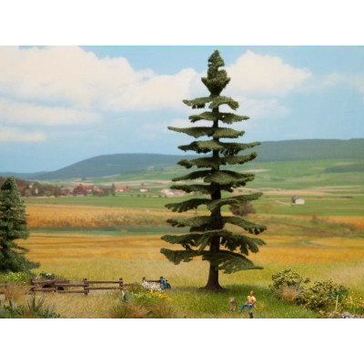 Nordmannská jedľa, 18,5 cm  NO21824