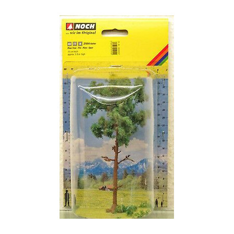 Borovica, 15 cm  NO21914