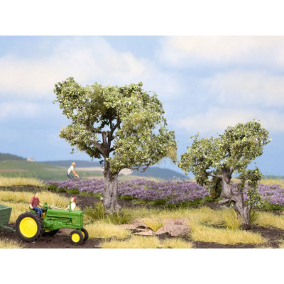 Olivovníky 2 ks, 6 a 9 cm  NO21995