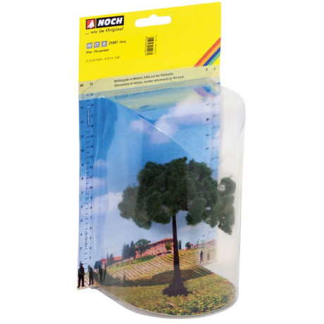 Borovica píniová,  11,5 cm  NO21997