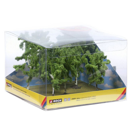 Breza, 5 ks,  8 a 10 cm  NO25004