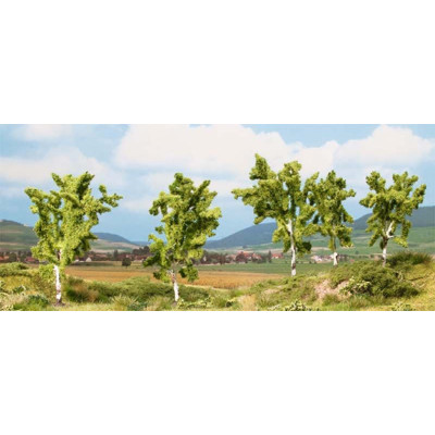 Breza, 5 ks,  8 a 10 cm  NO25004