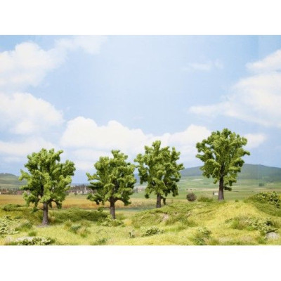 Buk, 4 ks, 13 cm  NO25005