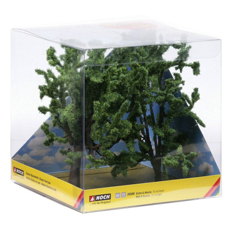 Dub a agát, 15 cm  NO25006