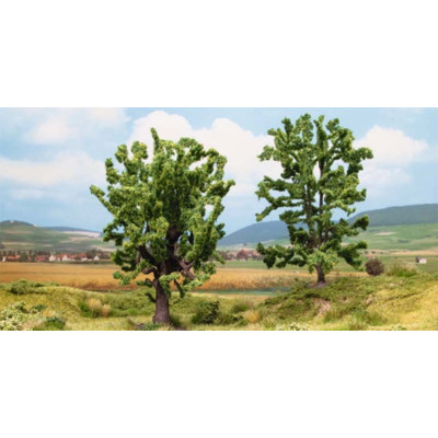 Dub a agát, 15 cm  NO25006