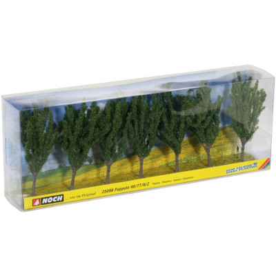 Topoľ 7 ks, 12 cm  NO25098