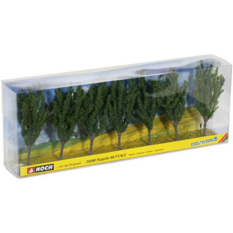 Topoľ 7 ks, 12 cm  NO25098