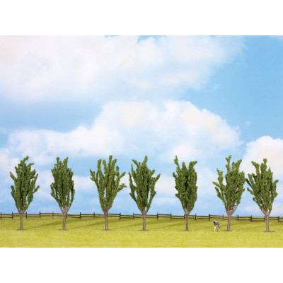 Topoľ 7 ks, 12 cm  NO25098