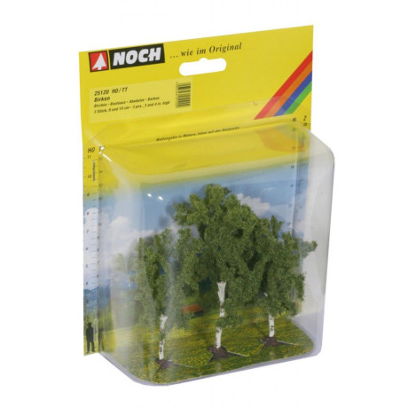 Breza, 3ks, 8 a 10 cm  NO25120