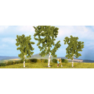 Breza, 3ks, 8 a 10 cm  NO25120