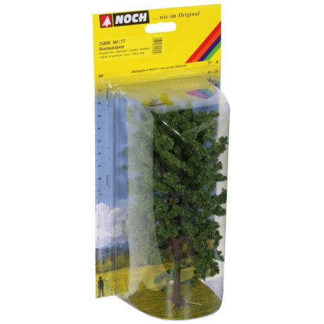 Pagaštan konský, 19 cm  NO25895