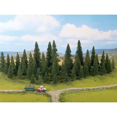 Modelové jedle, 25ks, 5 - 14 cm  NO26820