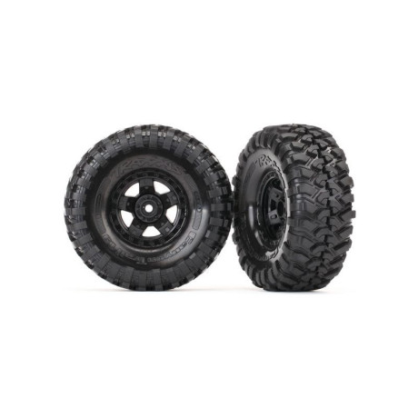 Traxxas kolo 1.9", disk TRX-4 Sport, pneu Canyon Trail (pár)