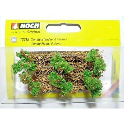 Paradajky, 3 x 6 cm, 6 rastlín  NO13215