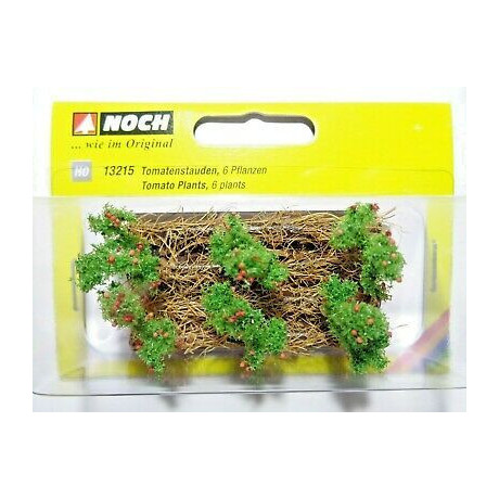 Paradajky, 3 x 6 cm, 6 rastlín  NO13215