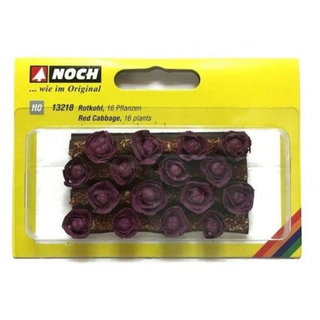Červená kapusta, 3 x 6 cm, 16 rastlín  NO13218