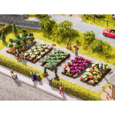 Tekvice, 3 x 6 cm, 8 rastlín  NO13219