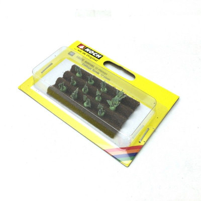 Kaleráb, 3 x 6 cm, 12 rastlín  NO13220