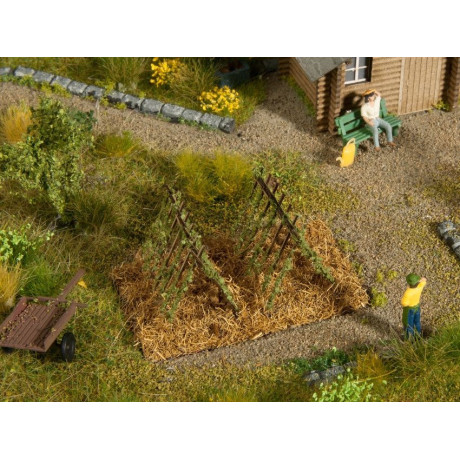 Fazuľa, 3 x 6 cm  NO13225