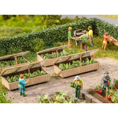 Záhony šalátu, 3 x 6 cm, 2 ks  NO14025