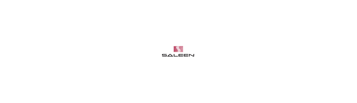 SALEEN