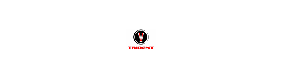 TRIDENT