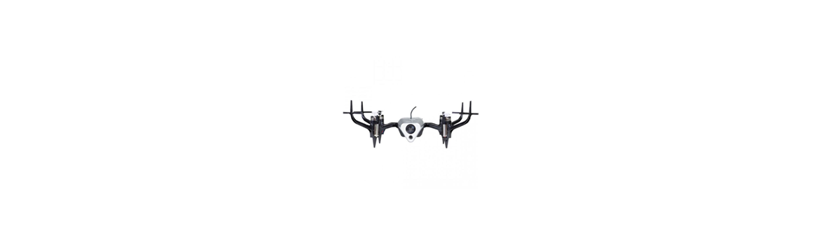 FPV race